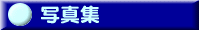 �ʐ^�W